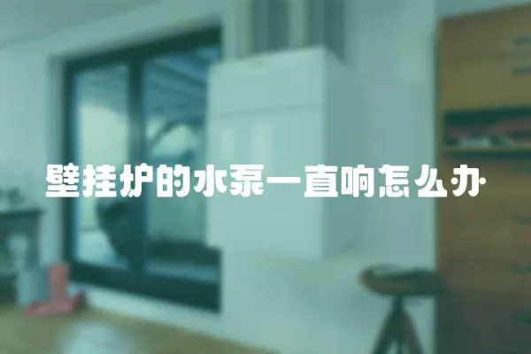 壁掛爐的水泵一直響怎么辦