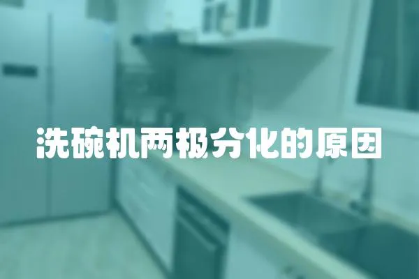 洗碗機兩極分化的原因