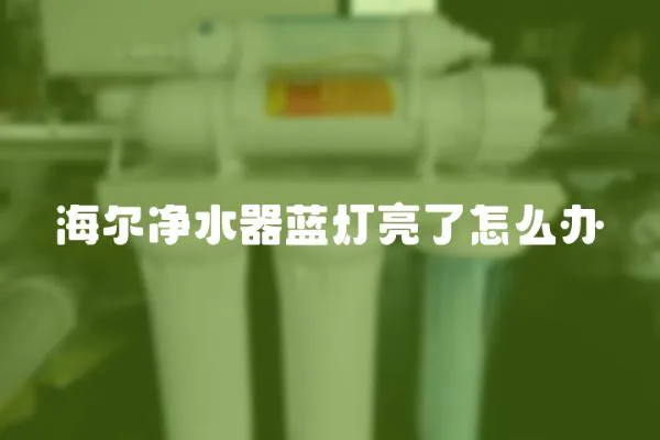 海爾凈水器藍燈亮了怎么辦
