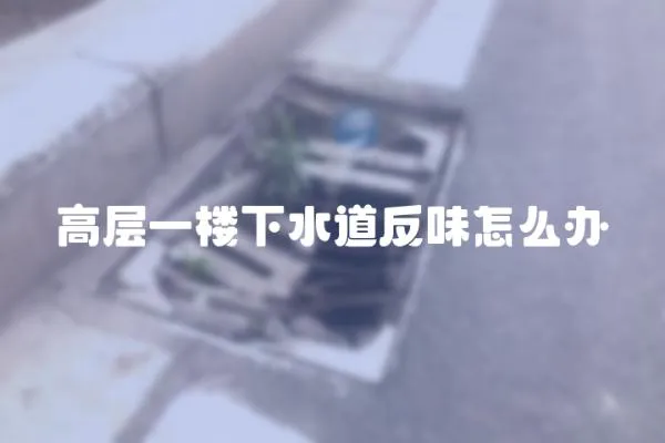 高層一樓下水道反味怎么辦
