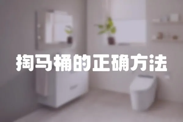 掏馬桶的正確方法