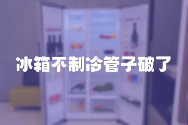 冰箱不制冷管子破了
