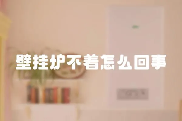 壁掛爐不著怎么回事