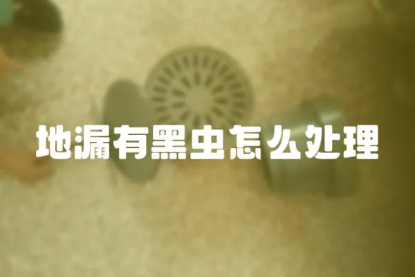 地漏有黑蟲怎么處理