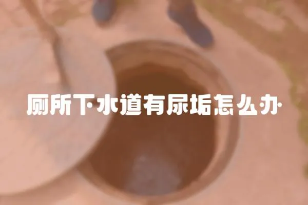 廁所下水道有尿垢怎么辦