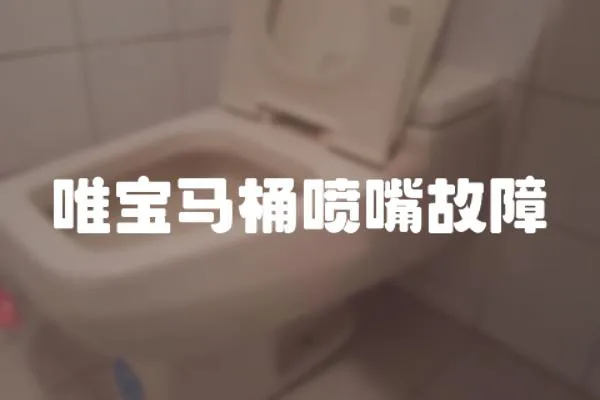 唯寶馬桶噴嘴故障