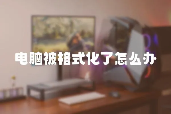 電腦被格式化了怎么辦