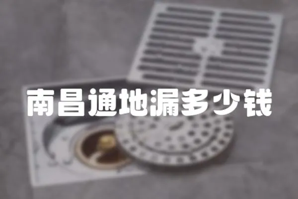南昌通地漏多少錢