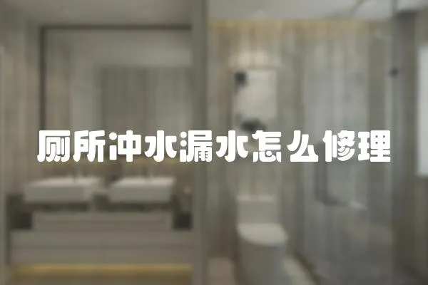 廁所沖水漏水怎么修理