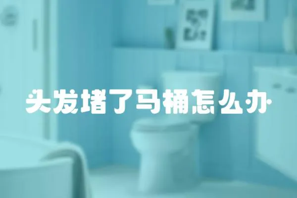 頭發堵了馬桶怎么辦