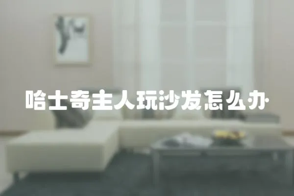 哈士奇主人玩沙發(fā)怎么辦