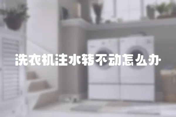 洗衣機注水轉不動怎么辦