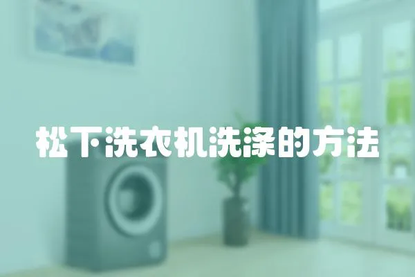 松下洗衣機洗滌的方法