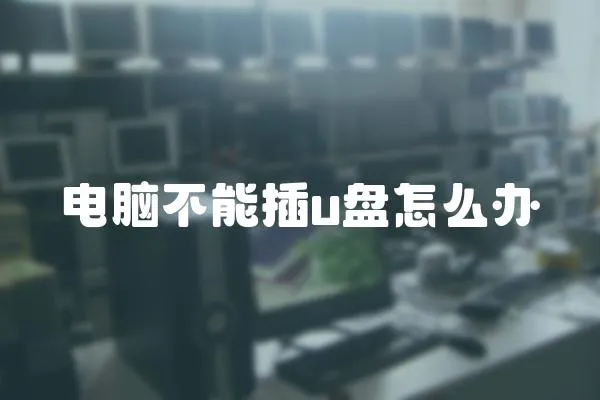 電腦不能插u盤怎么辦