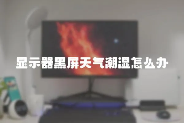 顯示器黑屏天氣潮濕怎么辦