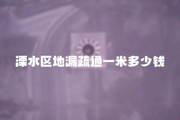 溧水區地漏疏通一米多少錢