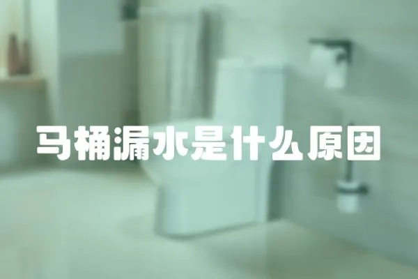馬桶漏水是什么原因