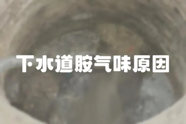 下水道胺氣味原因
