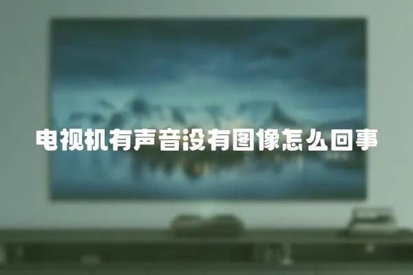 電視機有聲音沒有圖像怎么回事
