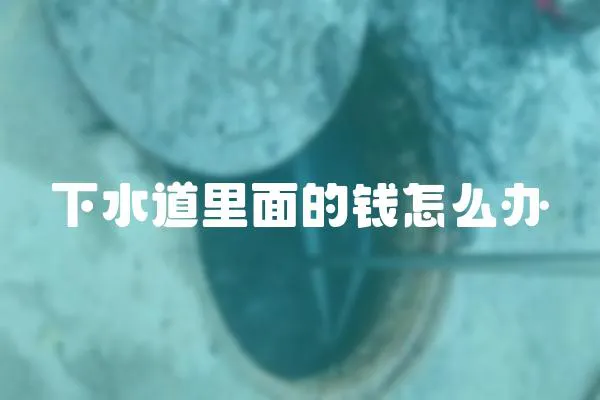 下水道里面的錢怎么辦