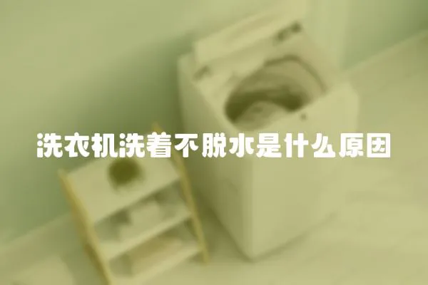 洗衣機(jī)洗著不脫水是什么原因