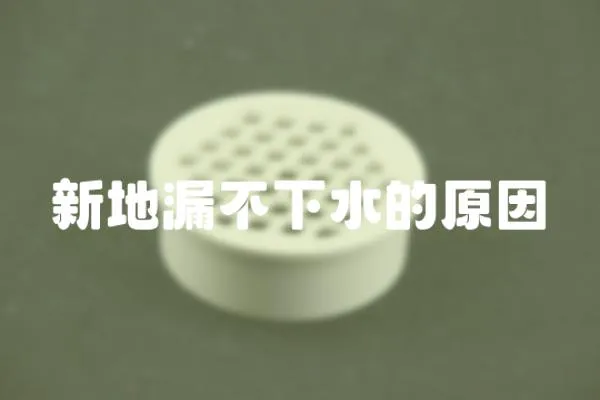 新地漏不下水的原因