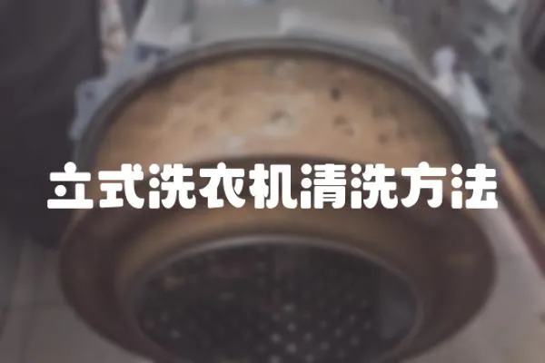 立式洗衣機(jī)清洗方法