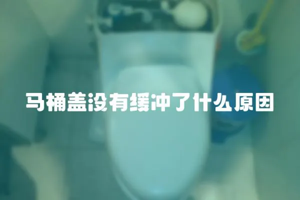 馬桶蓋沒有緩沖了什么原因