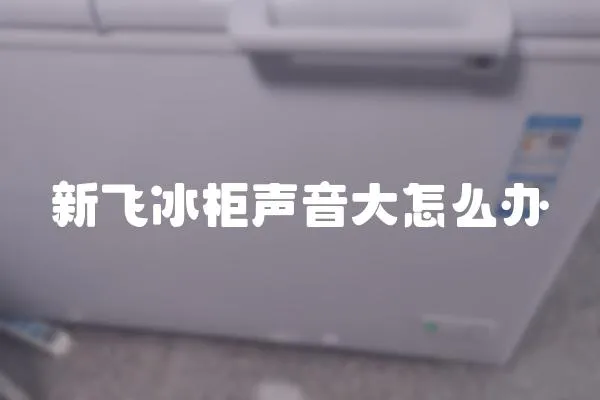 新飛冰柜聲音大怎么辦