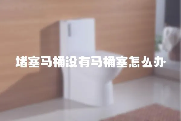 堵塞馬桶沒有馬桶塞怎么辦