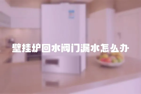 壁掛爐回水閥門漏水怎么辦