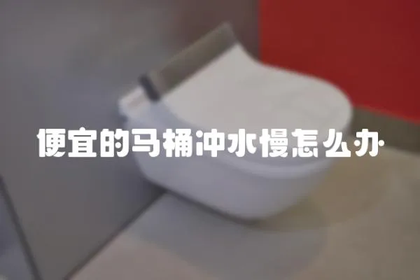 便宜的馬桶沖水慢怎么辦