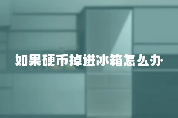 如果硬幣掉進冰箱怎么辦
