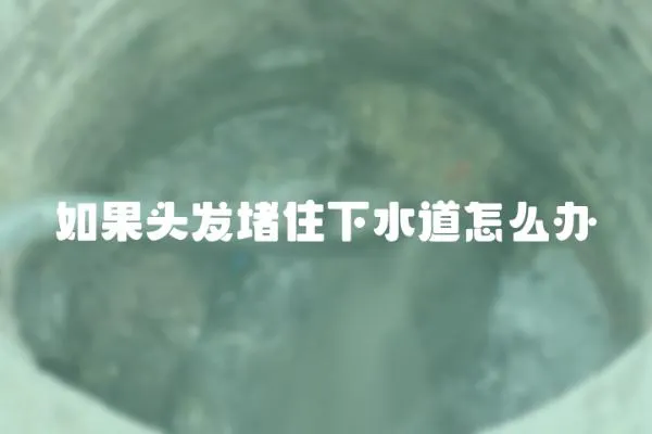 如果头发堵住下水道怎么办