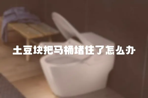土豆塊把馬桶堵住了怎么辦
