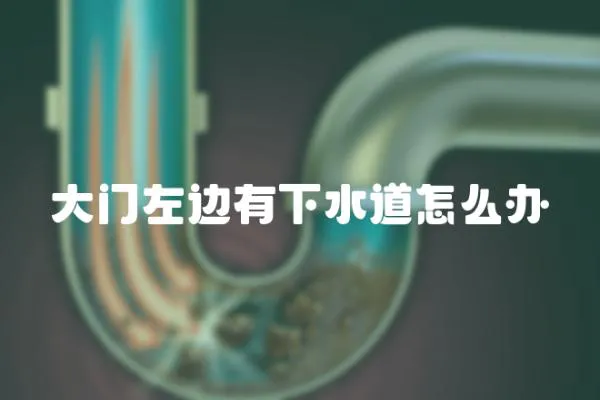 大門左邊有下水道怎么辦