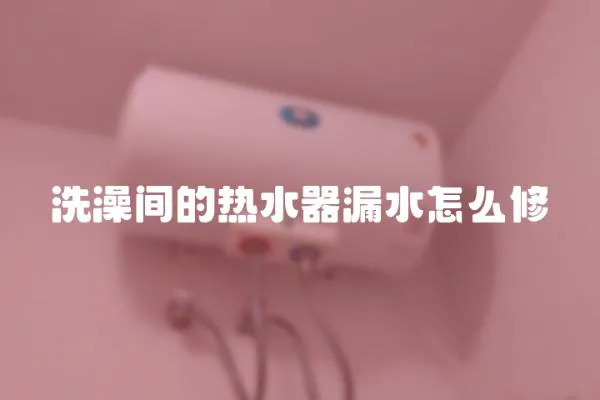 洗澡間的熱水器漏水怎么修