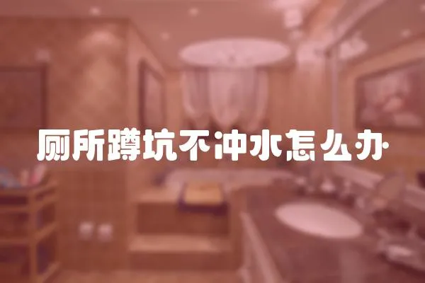 廁所蹲坑不沖水怎么辦