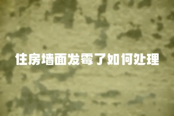 住房墻面發霉了如何處理