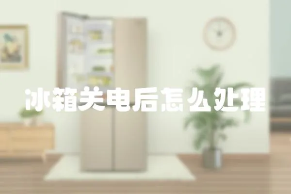 冰箱關(guān)電后怎么處理