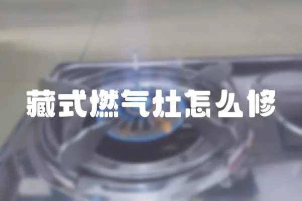 藏式燃?xì)庠钤趺葱?></a></div>
                    <div   id=