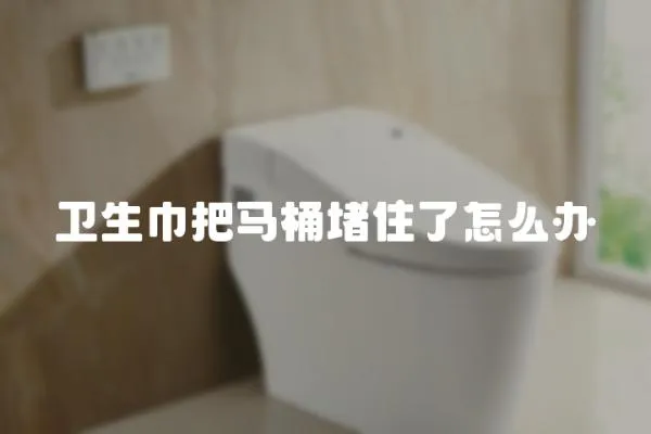 衛(wèi)生巾把馬桶堵住了怎么辦