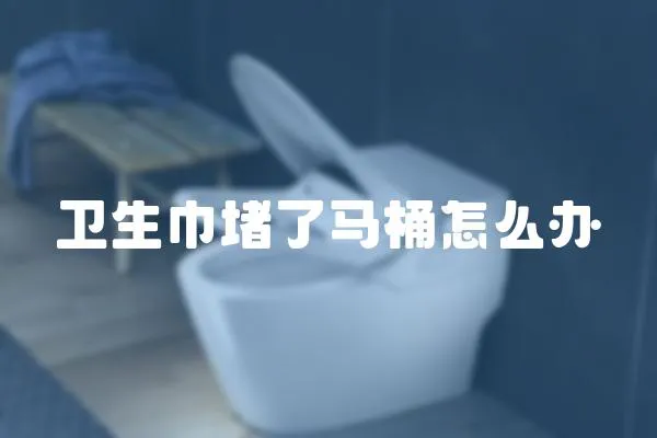 衛生巾堵了馬桶怎么辦