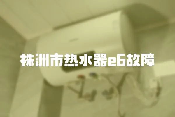 株洲市熱水器e6故障