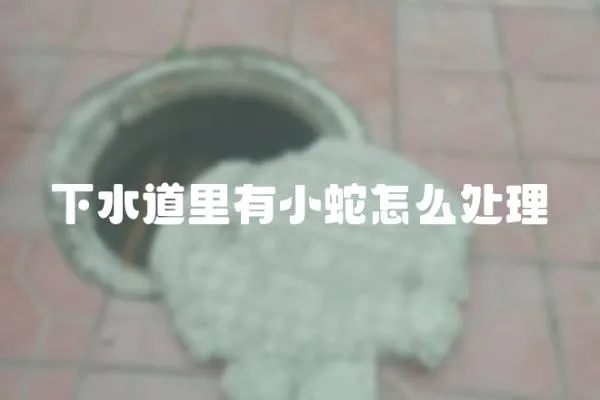 下水道里有小蛇怎么處理