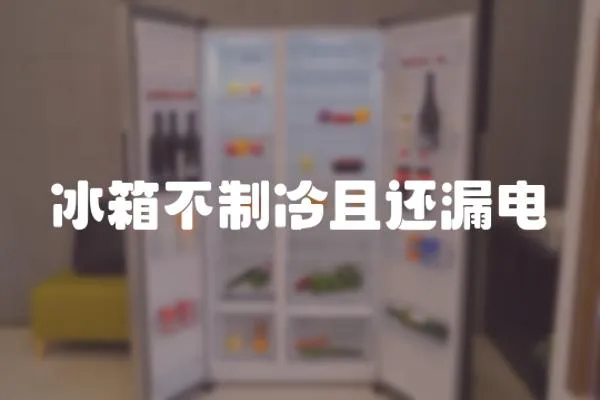 冰箱不制冷且還漏電