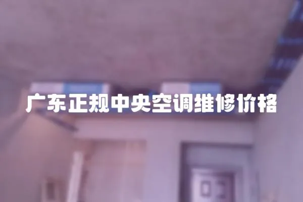 廣東正規(guī)中央空調(diào)維修價格