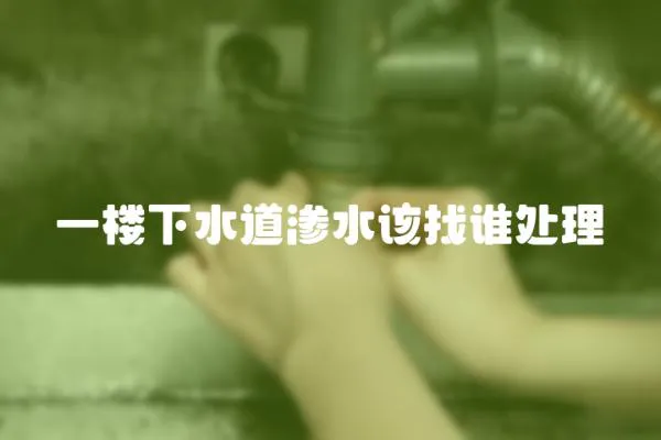 一樓下水道滲水該找誰(shuí)處理