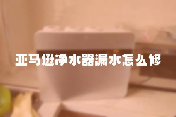 亞馬遜凈水器漏水怎么修