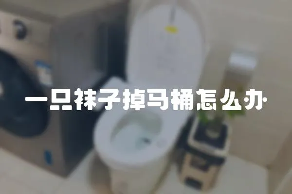 一只襪子掉馬桶怎么辦